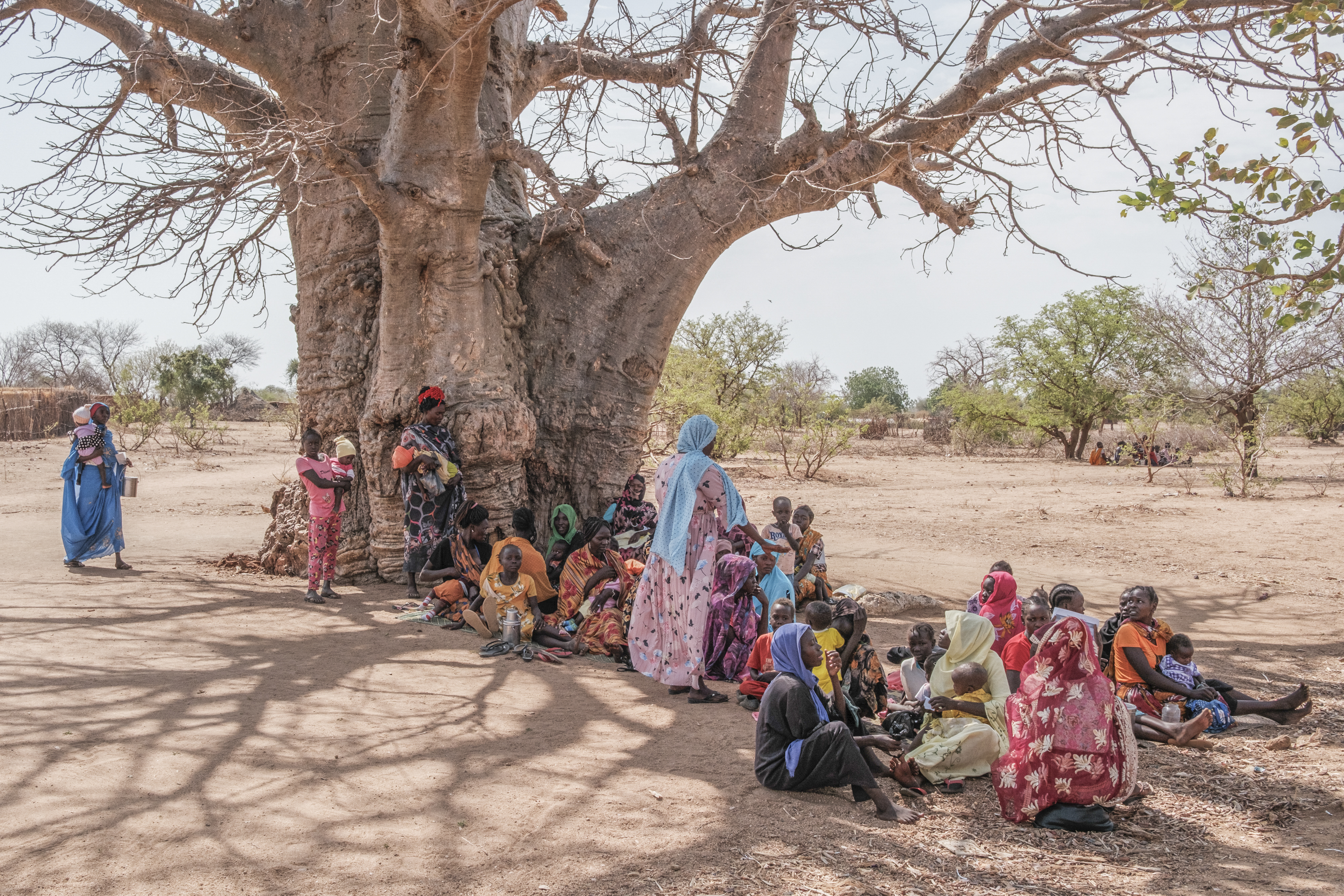 Women wait under the shade of a tree to register for food assistance.