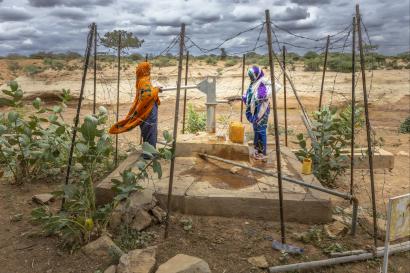 Ethiopian woman collecting water from a well amidst a garden.