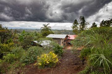 A landowner and farmer's home surrounded by coffee plants.