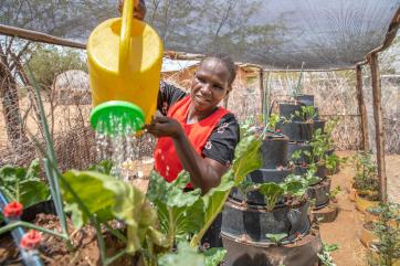 Kenyan woman watering agricultural crops under sun shade.