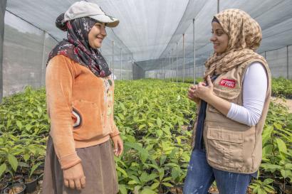 A syrian refugee talks with a mercy corps field officer in a avocado farm greenhouse.