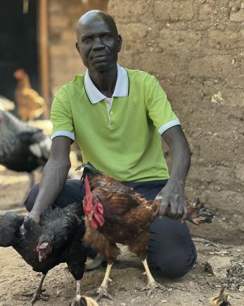 A person kneeling alongside chickens.