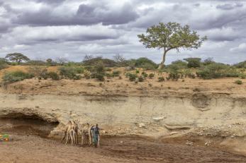 Ethiopian man with camels, stands in dried lake bed.
