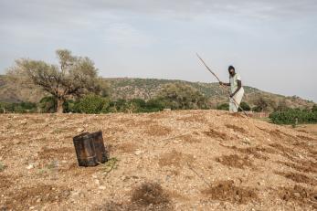 Sudanese woman working in agricultural setting.