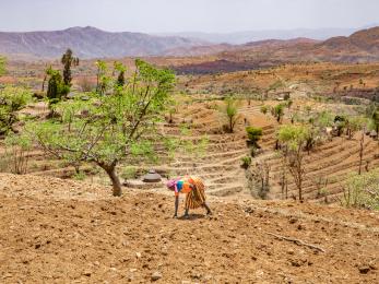 farmer in Ethiopia working on her crops