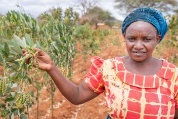Eleanor Muli harvests pigeon peas on her farm in Makindu, Kenya. AgriFin’s partnership with DigiFarm provides support that is traditionally unavailable or too expensive for farmers, especially women. Eleanor used the program to access seeds for a crop and the platform linked her to a commercial buyer at harvest time.