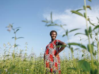 A person waiting in a field.