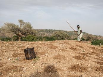 Sudanese woman working in agricultural setting.