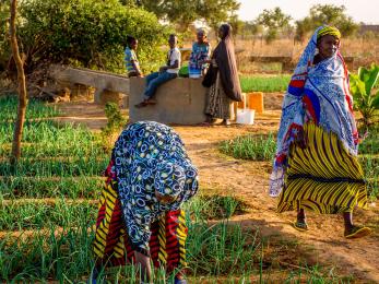 Malian agricultural scene.