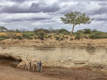 Ethiopian man with camels, stands in dried lake bed.